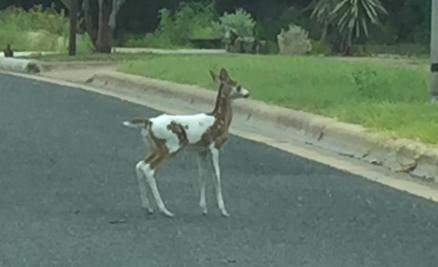 11738056_10150608643609980_5025451177006136884_n